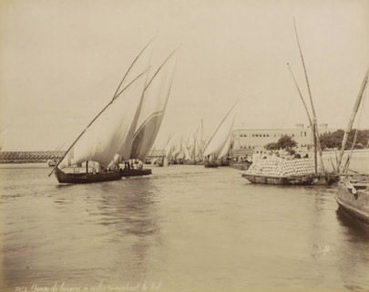 Sailing boats with cargo on the Nile, Group of sailing boats sailing up the Nile, photograph, Part