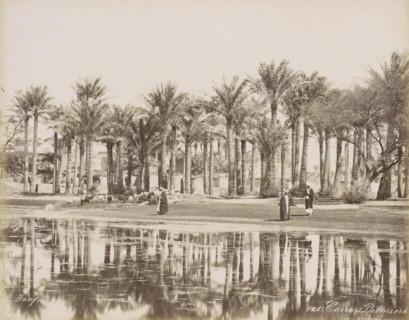 Men with a herd under the palm trees in Bedrechen near Cairo, Caire, Palmiers a Bedrechen,