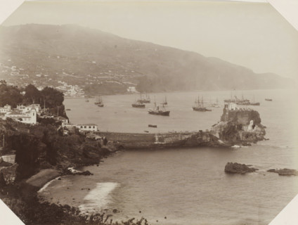 View of the coast and a harbor pier of Madeira, photograph, Part of Album with 191 photos of a trip