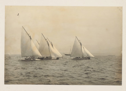Various sailing ships, including the Windfall, launched, album page, photograph, This photo is part