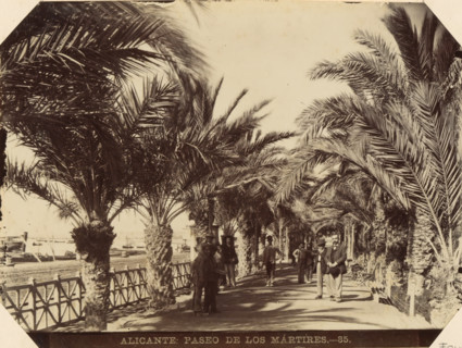 Alicante Paseo de los Mártires, Street view of Paseo de los Mártires de la Libertad in Alicante,