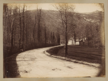 Road between trees with mountains in the background in the vicinity of Bagnères-de-Bigorre, album