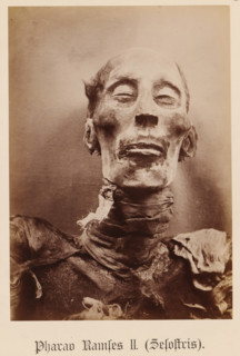 Pharaoh Ramses II (Sesostris), Head of the mummy of Pharaoh Ramses II, photograph, page,