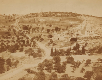 Mont des Oliviers, View of the Mount of Olives in Jerusalem, photograph, number: '292',