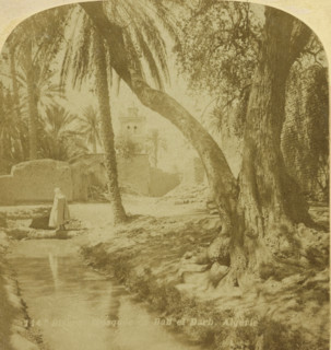 Palms and water near the Bab el Darb Mosque, Biskra, Biskra Mosquée de Bab el Darb. Algérie,