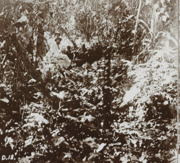 Group of men in the jungle around Fakfak, West Papua, Fakfak. Jungle, Geographical sculpture