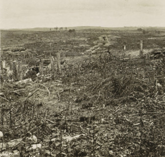 Krieg 1914-1916. Russer Schützengraben beo Grodno, Russian trenches in the First World War near