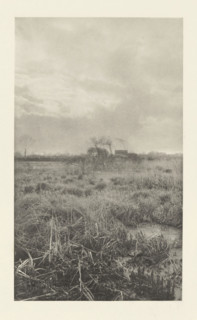 Heathland landscape, 'Gladden and Bent', photomechanical print, photographer: Alfred Horsley