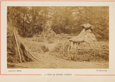 View in Epping Forest, A View in Epping Forest, photograph, page, photographer: Poulton, Epping