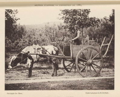 Man with ox cart, Kempen, Attelage and Campine, page, photomechanical print, inscription: 'Section