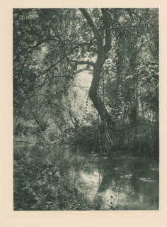 River in the Tempedal in Thessaly, Vallée de Tempé, page, photomechanical print, photographer: