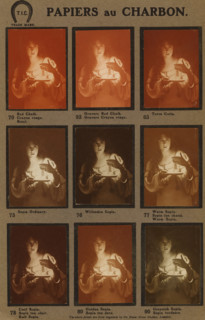 Colour chart of Illingworth's permanent carbon tissues, book, maker: Thomas Illingworth & Co.,
