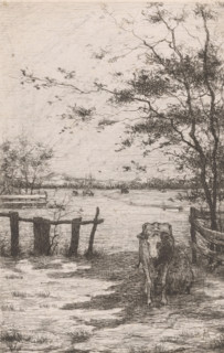 Cow being milked in a meadow, print, printmaker: Philip Zilcken, 1867 - 1890, paper, etching,