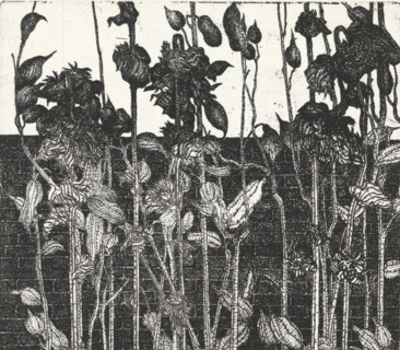 Vegetation in front of a wall, print, Vegetation in front of a wall., inscription: '1e STAAT',