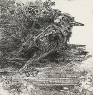 Dead bird, print, Dead, decomposing bird., date: ''79', signature: 'KEES STOOP', inscription: '1e