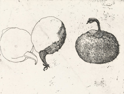 Gourds, print, Two gourds, one in half., signature: 'KEES STOOP', printmaker: Kees Stoop (signed by