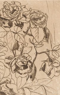 Roses (original title), print, printmaker: Floris Verster, 1891, paper, etching, drypoint, intaglio