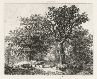 Forest scene with cattle, print, Series number, 28, printmaker: Johannes Arnoldus Boland,