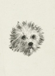 Head of dog, print, printmaker: Eduard Cuypers, Netherlands, 1869 - 1927, paper, chine collé,