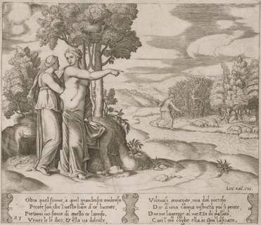 Psyche Collects Golden Wool, Story of Amor and Psyche, print, Series number, 23, 32, Venus