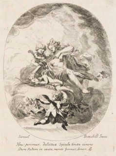 Venus, Opera Varia Historica, Poetica & Iconologica, Various designs, print, printmaker: Samuel