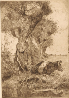 Resting cow by the waterside, print, Lying cow by the waterside next to some trees., signature: 'G.