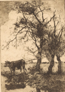 Cow at the waterside, print, Standing cow at the waterside, next to three trees., signature: 'G.
