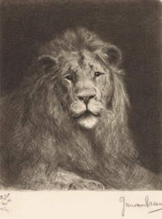 Head of a lion, print, Lower left a branch with leaves and flowers., printmaker: Jan van Essen