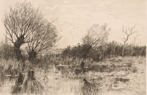 Pollarded willows by the water, A quiet spot (original title), print, printmaker: Geo Poggenbeek