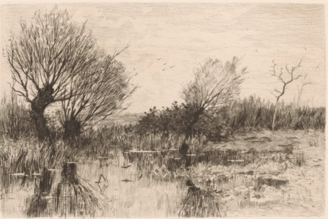 A quiet spot (original title on object), print, Pollard willows by the water., printmaker: Geo
