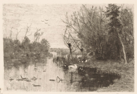 Eendenplas (original title), Ducks along and on the bank of a pond, print, printmaker: Geo