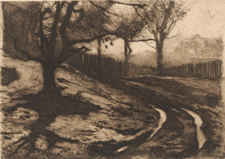 Landscape with trees and fence, print, printmaker: Willem Witsen, Ewijkshoeve (Den Dolder), 1887,