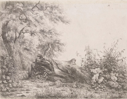 Fallened tree at the edge of the forest, Five etching proofs, print, printmaker: Pierre Louis