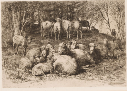 Sheep in a forest, print, printmaker: Albert Heinrich Brendel, Weimar, publisher: Weimarer