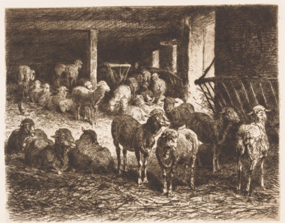 Sheep in a barn, print, printmaker: Albert Heinrich Brendel, Weimar, publisher: Weimarer