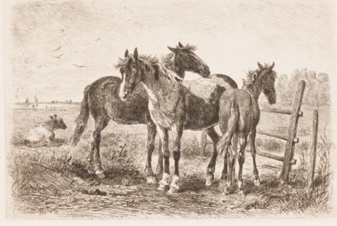 Three horses in a meadow, a cow in the background, print, printmaker: Albert Heinrich Brendel,