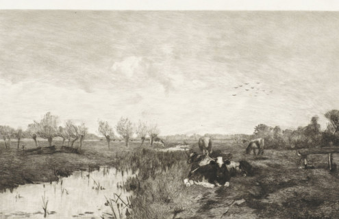 Calendar 1895, Polder landscape with cows, calendar, print, Cows are lying and standing in a meadow