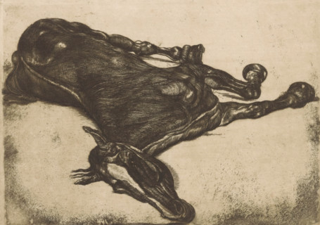Dead horse, print, printmaker: Pieter Dupont, Paris, 1900, paper, etching, intaglio printmaking