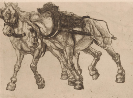 Two tow horses along the Marne, L'Outillage (original series title), print, Two horses pull a barge