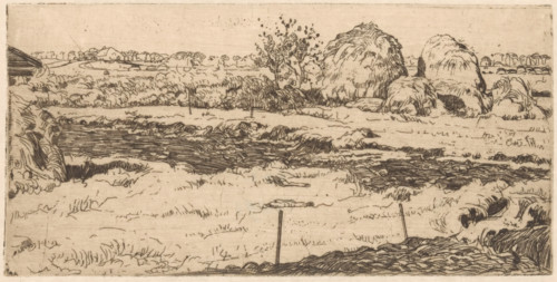 Field with haystacks, print, A piece of land fenced off with posts. On the left, part of a barn. In