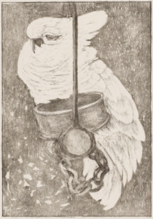 White cockatoo, print, A cockatoo on a chain on a stick., signature: 'Theov Hoytema', printmaker: