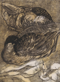 Two sleeping ducks, print, printmaker: Theo van Hoytema (signed by artist), 1878 - 1909, paper,