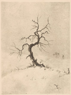 Lonely tree (original title on object), print, inscription: ''Grafico'', inscription: 'Graph - pro.