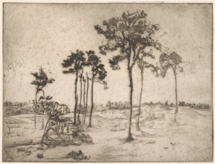 Trees, print, Trees in a rolling sandy landscape., printmaker: Frederika Henriëtte Broeksmit