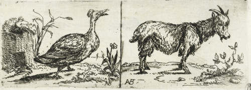 Tufted duck and billy goat, print, Left a tufted duck walking. Right a billy goat lengthwise.,