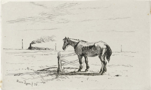 Horse in a meadow, print, Horse by a fence in a meadow. A steam train is driving on the horizon.,