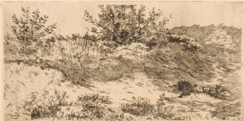 Dune landscape with grasses and shrubs, print, printmaker: Piet Egmond, 1874 - 1908, paper,