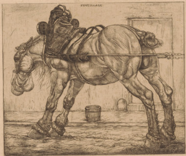 Draft horse with oat sack, L'Outillage (original series title on object), print, The horse is