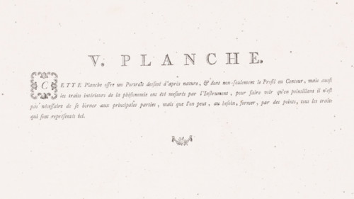 V. Plate., Explanation of the portrait of a man, text sheet, Series number, 5, 12, Text sheet with