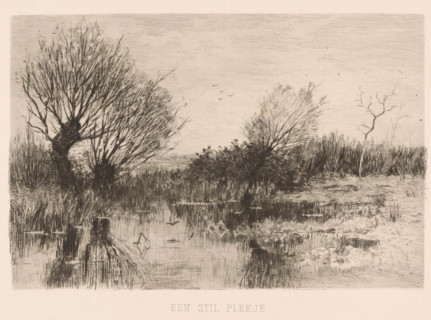 A quiet spot (original title on object), print, Pollard willows by the water., printmaker: Geo